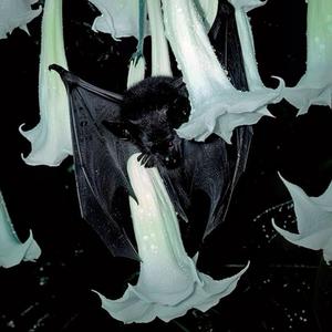 all of me (feat. yiru)