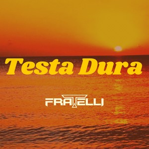 Testa Dura