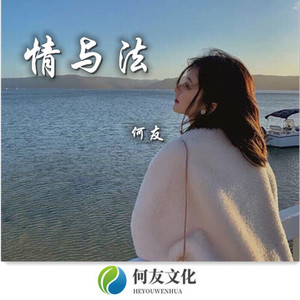 情与法 (DJ弹鼓版)