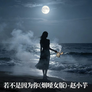 若不是因为你 (烟嗓女版)