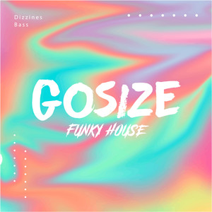 Funky House (Original Mix)