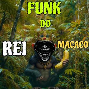 FUNK DO REI MACACO (SLOWED & REVERBED)