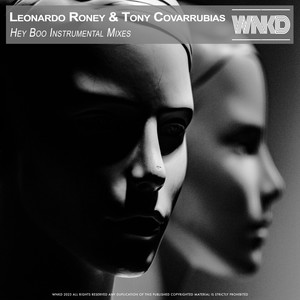 Hey Boo (Instrumental Mix)