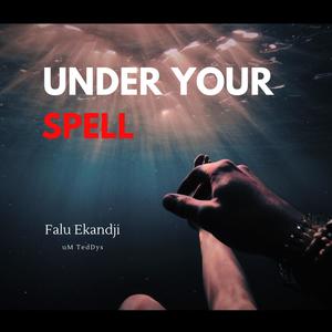 Under Your Spell (feat. uM TedDys & Pnash)