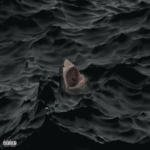 Shark (feat. Night Blood) [Explicit]