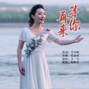 等你再来 (伴奏)