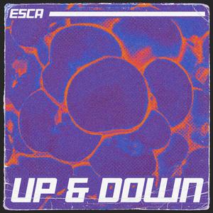 UP & DOWN (Explicit)