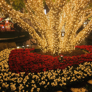 Feeling Alive (Explicit)