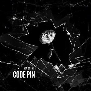 Code Pin