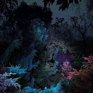 Волшебное слово