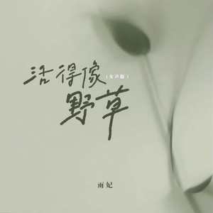 活得像野草