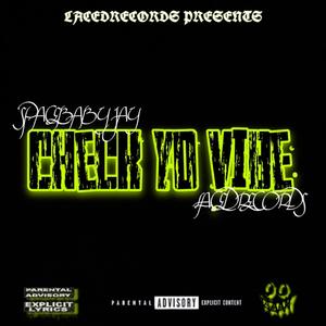 Check yo vibe (Explicit)