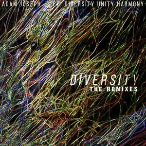 Diversity[feat. Diversity Unity Harmony] (Adam Joseph Remix|Explicit)