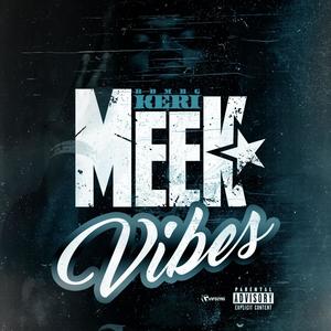 Meek Vibes (Explicit)