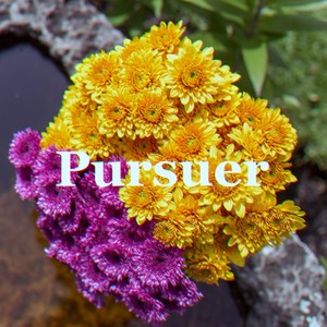 Pursuer