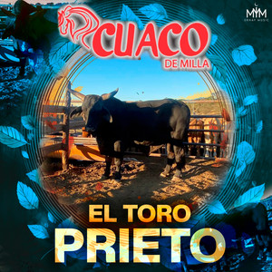 El Toro Prieto