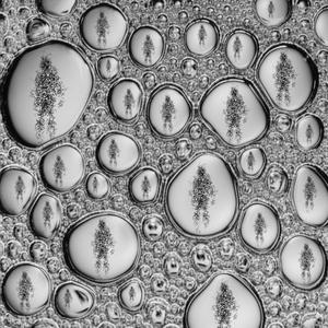 デタラメのように (feat. 貯水TANK)