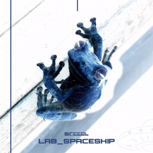 Lab_Spaceship