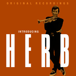 Herb Alpert - A Quiet Tear (Lagrima Quieta)