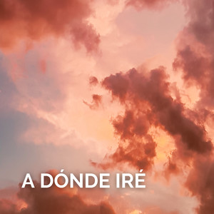 A Dónde Iré