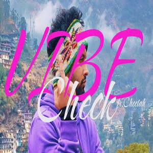 Vibe Check (Explicit)