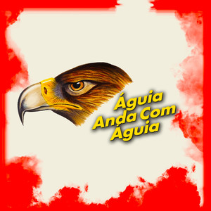 Águia Anda Com Águia