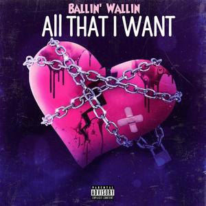 All That I Want (Explicit)