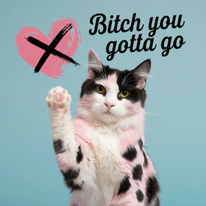 ***** You Gotta Go (Explicit)