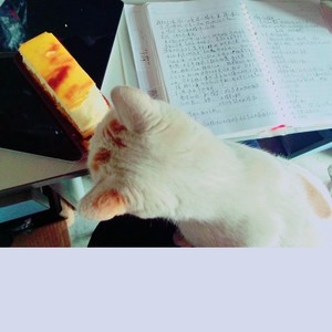 生长 (改编版Cover: 王俊凯)