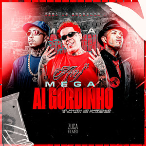 Mega Ai Gordinho