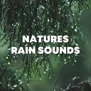 Natures Rain Sounds