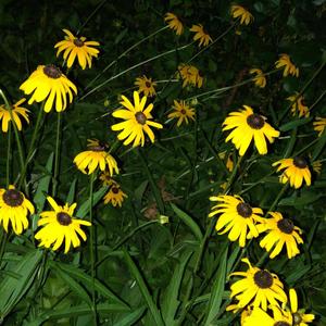 Take It Back (feat. LosingLucid)