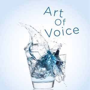 Art of Voice
