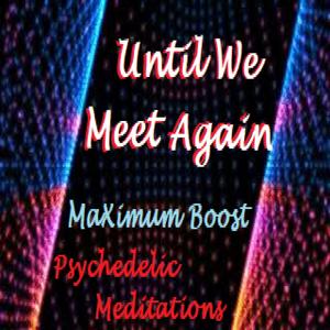 Until We Meet Again (feat. Psychedelic Meditations)