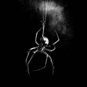VENOM (Ultra Slowed|Explicit)