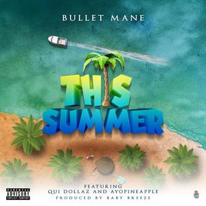 This Summer (feat. Qui Dollaz & AyoPineapple) [Explicit]