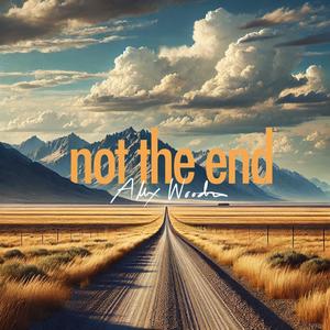 not the end (Acoustic)