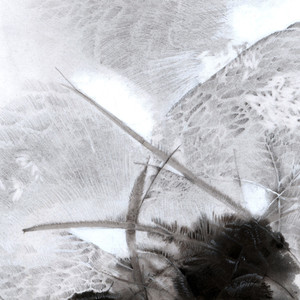 Sarah Pagé - Crossing Over