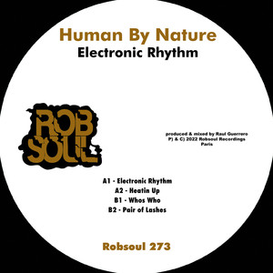 Electronic Rhythm