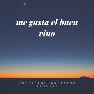 me gusta el buen vino (Explicit)