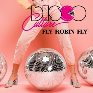 Fly Robin Fly V (Bright Hinze Extended Remix)