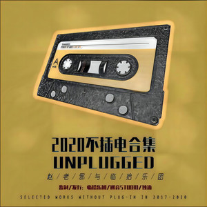 重返郑州「2020 Unplugged」