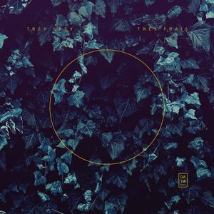 Show Me (Show Me|Sabrepulse Remix)