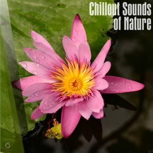 Chillout Sounds of Nature