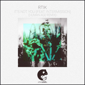 It's Not You (Human Age Remix)