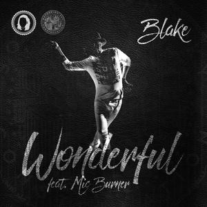 Wonderful (feat. Mic Burner)