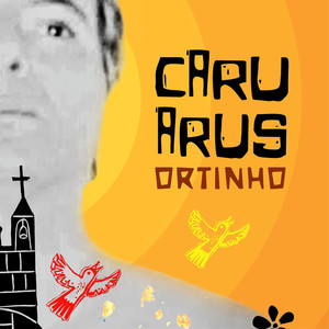 Não Desarme a Rede