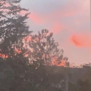 Hardcore Dolls (feat. Kyklo)