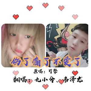 伤了痛了不爱了