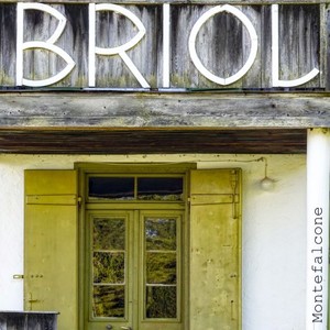 Briol